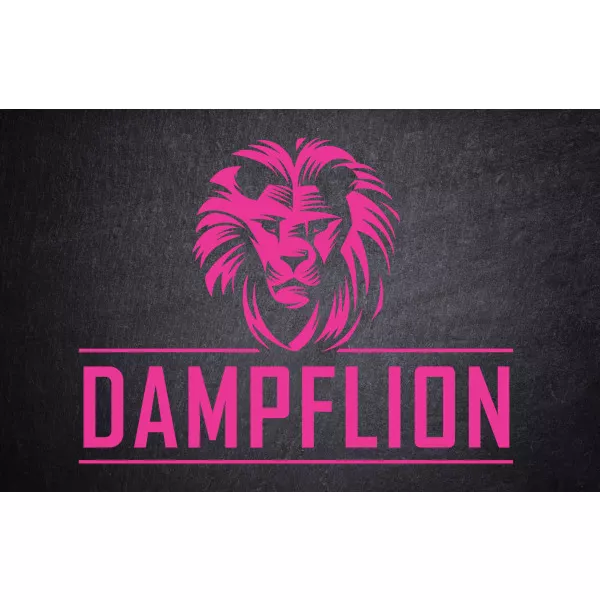 Dampflion Aroma 20ml Pink Lion